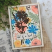 Picture of Sizzix Διάφανες Σφραγίδες - Born To Bloom, 10τεμ.