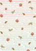 Picture of Ciao Bella Vellum Pad A4 - The Nutcracker