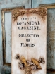 Picture of Prima Re-Design Decor Mould Καλούπι Σιλικόνης 5'' x 8'' - Antique Scrolls