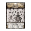 Picture of Tim Holtz Idea-Ology - Χαρτιά Collage 5" x 6", Halloween 2024