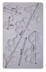 Picture of Prima Re-Design Decor Mould Καλούπι Σιλικόνης 5'' x 8'' - Botanical Blossoms