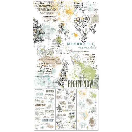 Picture of 49 & Market Rub-Ons Φύλλα Μεταφοράς Εικόνας 15 x 30.5 cm - Krafty Garden, Essentials, 3τεμ.