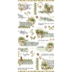 Picture of 49 And Market Φύλλα Μεταφοράς Εικόνας Rub-Ons - Cottagecore, 3τεμ