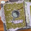 Picture of Elizabeth Craft Designs Σετ με Διάφανες Σφραγίδες και Μεταλλικές Μήτρες Κοπής - Hinged To The Past, Just Write, 22τεμ.
