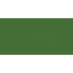 Picture of Jacquard iDye Poly Fabric Dye Βαφή για Συνθετικά Υφάσματα 14g - Green