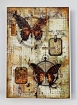 Picture of Aall & Create Mixed Media Creative Pack - Antique Browns, Nautical Wings, 143τεμ.