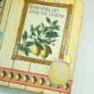 Picture of Elizabeth Craft Designs Μήτρες Κοπής - Sunny Days, Cheers to You, 17τεμ.