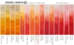 Picture of Daniel Smith Extra Fine Tubes Χρώμα Ακουαρέλας Σωληνάριο - Cadmium Orange Hue