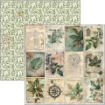 Picture of Ciao Bella Μπλοκ Scrapbooking Διπλής Όψεως 12” x 12” - Cabinet of Curiosities   