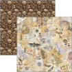 Picture of Ciao Bella Patterns Pad Διπλής Όψεως 12” x 12” - Cabinet of Curiosities  