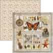 Picture of Ciao Bella Μπλοκ Scrapbooking Διπλής Όψεως 8” x 8” - Cabinet of Curiosities    