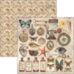 Picture of Ciao Bella Μπλοκ Scrapbooking Διπλής Όψεως 8” x 8” - Cabinet of Curiosities    