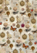 Picture of Ciao Bella Ριζόχαρτο Mixed A5 - Cabinet of Curiosities, 8τεμ.  