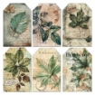 Picture of Ciao Bella Vellum Pad  6" x 6" - Cabinet of Curiosities   