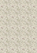 Picture of Ciao Bella Ριζόχαρτο Mixed A5 - Codex, 8τεμ. 