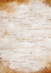 Picture of Ciao Bella Ριζόχαρτο Mixed A5 - Codex, 8τεμ. 