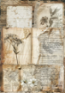 Picture of Ciao Bella Ριζόχαρτο Mixed A5 - Codex, 8τεμ. 