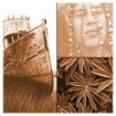 Picture of Jacquard SolarFast Dye Χρώμα Ηλιοτυπίας - Σέπια (Sepia)