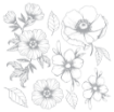 Picture of Crafter's Companion Foil Transfers 6" x 6"  Φύλλα Μεταφοράς με Foil - Nature's Garden, Flora & Fauna, 24τεμ.     