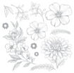 Picture of Crafter's Companion Foil Transfers 6" x 6"  Φύλλα Μεταφοράς με Foil - Nature's Garden, Flora & Fauna, 24τεμ.     