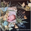 Picture of Arden Creative Studio Laser Cut Διακοσμητικά Στοιχεία - Hidden Creek, 78τεμ.