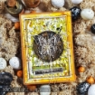 Picture of Stampers Anonymous Tim Holtz Σετ με Σφραγίδες και Στένσιλ - Mixed Media #15,  7τεμ.     