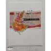 Picture of Arden Creative Studio Layering Διάφανες Σφραγίδες - Maker Series, Fern Valley, 9τεμ. 