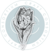 Picture of Craft Consortium Διάφανη Σφραγίδα Α6 - Faeries, Tulip