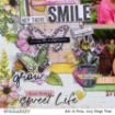 Picture of 49 & Market Foundations Binder Αλμπουμ Κιτ - The Flower Emporium