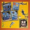 Picture of Echo Park Sea Life | Θαλασσινή Συλλογή Scrapbooking