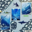Picture of Echo Park Sea Life | Θαλασσινή Συλλογή Scrapbooking