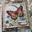 Picture of Ciao Bella Μπλοκ Scrapbooking Διπλής Όψεως 12” x 12” - Cabinet of Curiosities   