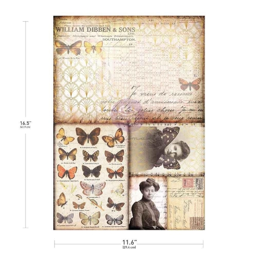 Picture of Prima Marketing Finnabair Decoupage Paper A3 – Southhampton Butterflies – Διακοσμητικό Χαρτί Decoupage με Πεταλούδες & Vintage Στοιχεία