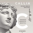 Picture of Willow Wolfe Callia Artist Mixed Media Starter Brush Set - Σετ Πινέλα για Mixed Media - Σετ 100: Liner, Round, Angle, Flat, 4τεμ.
