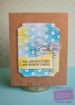 Picture of Tim Holtz Mini Distress Oxide Ink Pads | Σετ Υδατοδιαλυτών Μελανιών Οξείδωσης – Κιτ 16, 4τεμ.