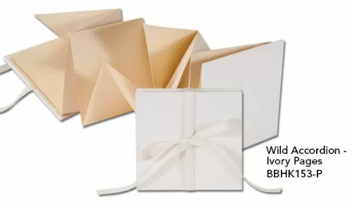 Picture of Lineco Books By Hand Wild Accordion - Κιτ Βιβλιοδεσίας