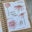 Picture of PaperArtsy Alison Bomber Red Rubber Stamp Set | Σετ Σφραγίδων Coneflowers Edition A5, 11τεμ.