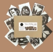 Picture of Σετ Εκτύπωσης Van Dyke για Sepia Φωτογραφίες – PAR DIY Van Dyke Kit Paper
