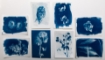 Picture of PAR DIY Cyanotype Kit Postcard – Σετ Κυανοτυπίας για 12 Καρτ-Ποστάλ