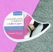 Picture of Crafter’s Companion Chameleon Inkpad Magenta Radiance | Μελάνι Interference (Φούξια / Μέντα)