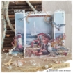 Picture of Studio Light Συλλογή Scrapbooking – Tide of Hope