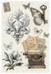 Picture of Ciao Bella A4 Rice Paper Set - Typographic, 4 pcs