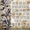 Picture of Ciao Bella Σετ Χαρτιών 6"x6" Deluxe Pearl Copper & Vellum - Typographic, 6 τεμ.