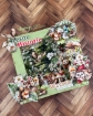 Picture of Mintay Papers Συλλογή Scrapbooking - Wildwood Secrets