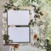 Picture of Mintay Papers Botany - Συλλογή Scrapbooking