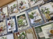 Picture of Mintay Papers Μπλοκ Scrapbooking Διπλής Όψης 6" x 6" - Botany