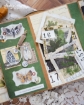Picture of Mintay Papers Διακοσμητικά Εφέμερα - Botany, 53τεμ.