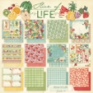 Picture of Graphic 45 Slice of Life 8x8 Inch Collection Pack - Σετ Χαρτιών Scrapbooking Διπλής Όψης, 24 Φύλλα