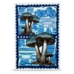 Picture of AALL & Create Clear Stamps by Autour De Mwa & Co | Σετ Σφραγίδες – Geometric Gazette: Global Gazette