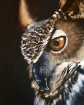 Picture of ARA Artists Acrylics | Ακρυλικό Χρώμα Υψηλής Χρωστικής για Μεικτές Τεχνικές – Burnt Umber